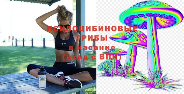 каннабис Абаза