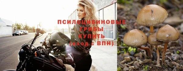 каннабис Абаза