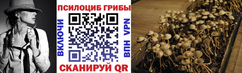 Псилоцибиновые грибы Psilocybine cubensis кракен сайт Зеленодольск