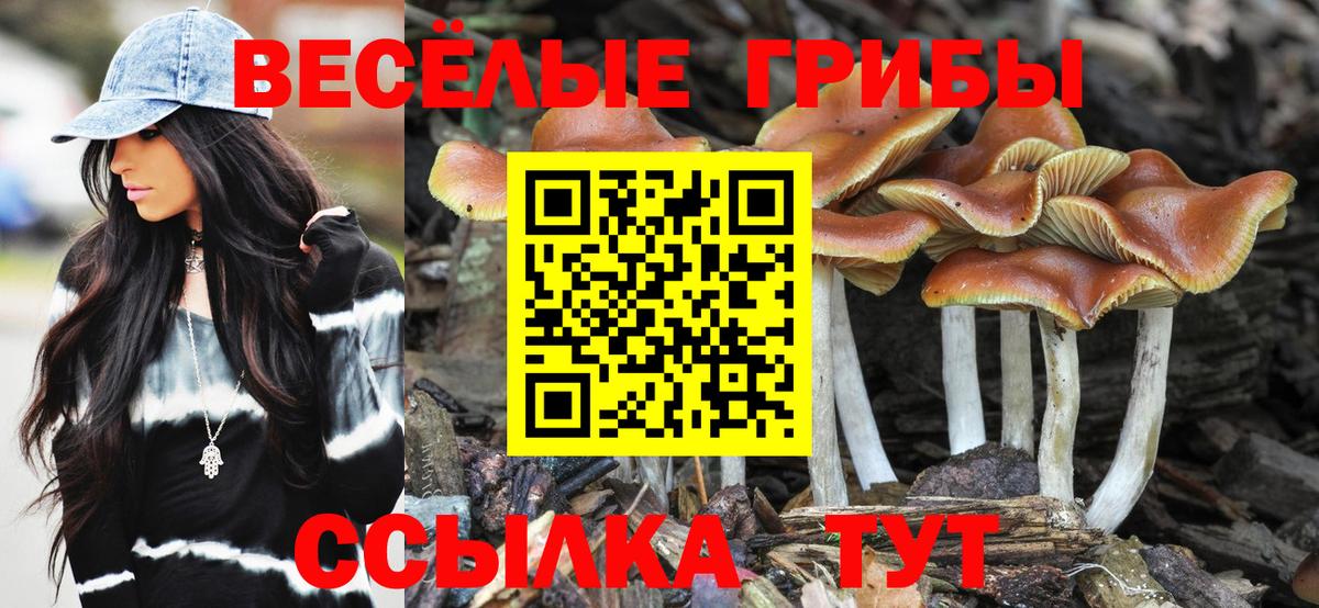 Галлюциногенные грибы мухоморы Зеленодольск