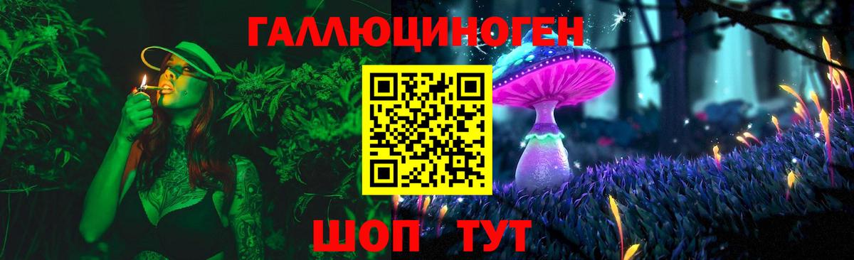 Зеленодольск  Псилоцибиновые грибы мухоморы  Вход с VPN 